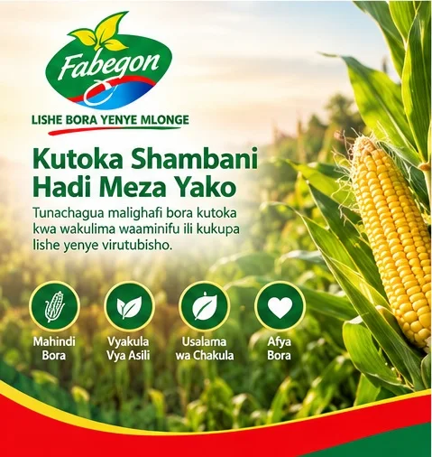 Locally grown maize moving from farm to table